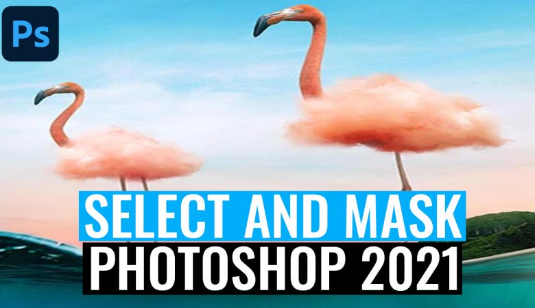 Hướng dẫn chi tiết cách tách tóc trong Photoshop bằng Select and Mask