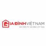 Gia đình Việt Nam